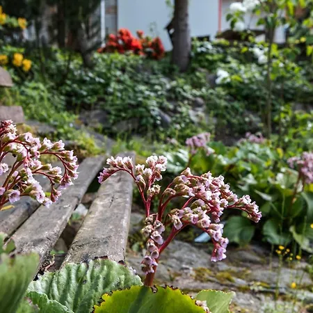 Jaworowy Stok Z Widokiem Na Gory I Ogrodem Villa Jugow Exterior photo