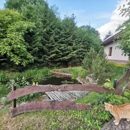 Jaworowy Stok Z Widokiem Na Gory I Ogrodem Villa Jugow Exterior photo