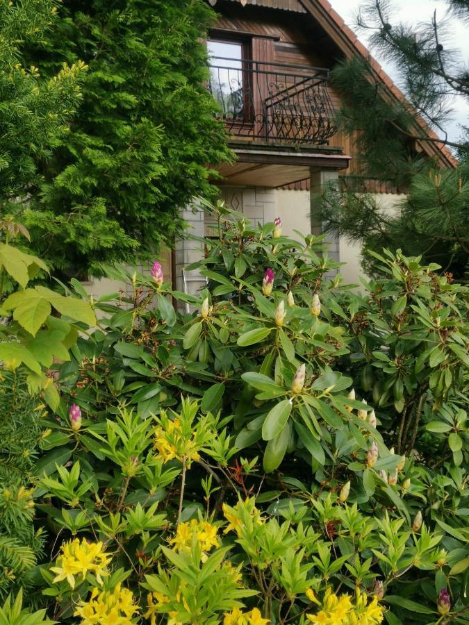 Jaworowy Stok Z Widokiem Na Gory I Ogrodem Jugów