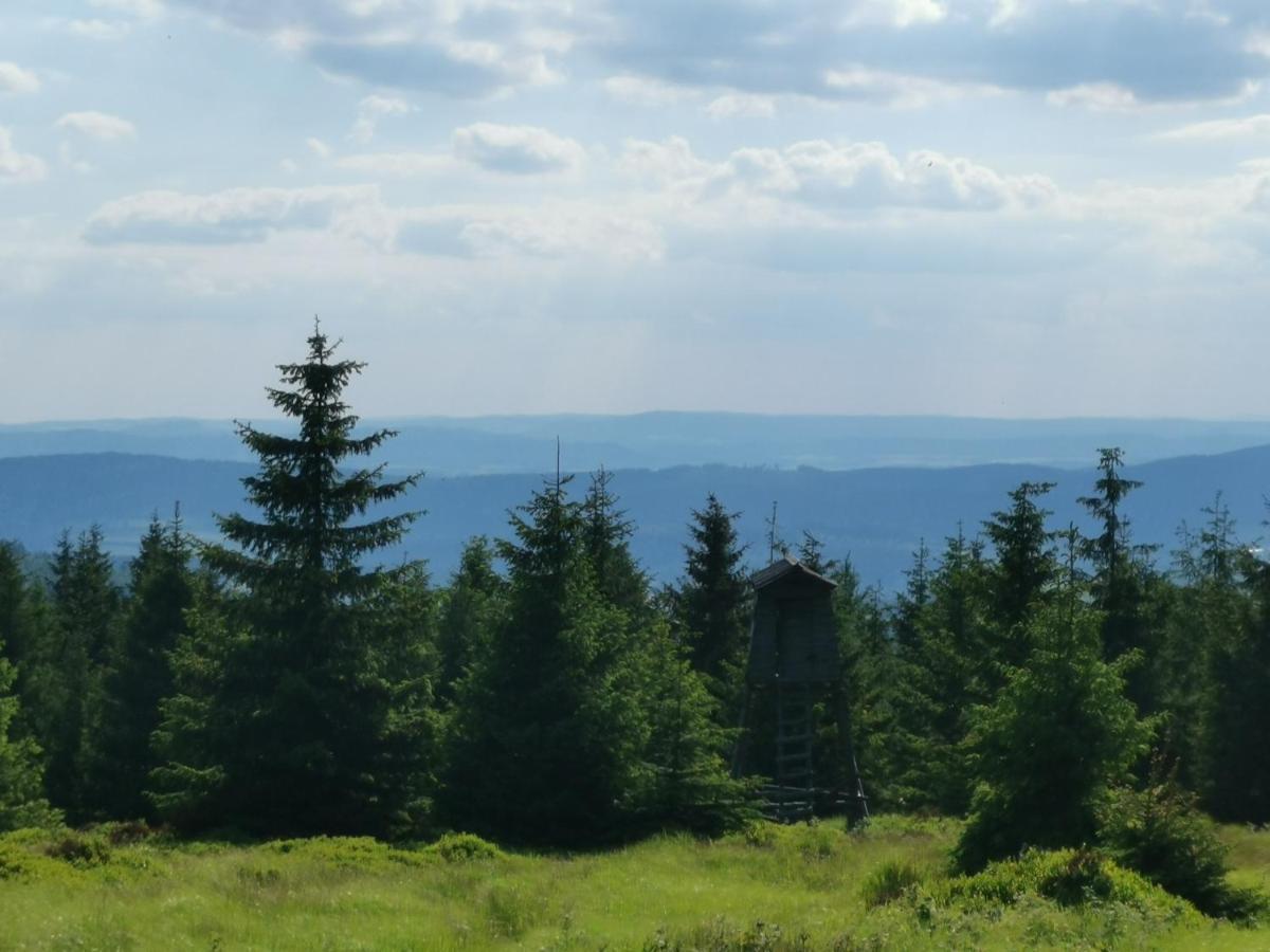 Jaworowy Stok Z Widokiem Na Gory I Ogrodem Villa Jugów