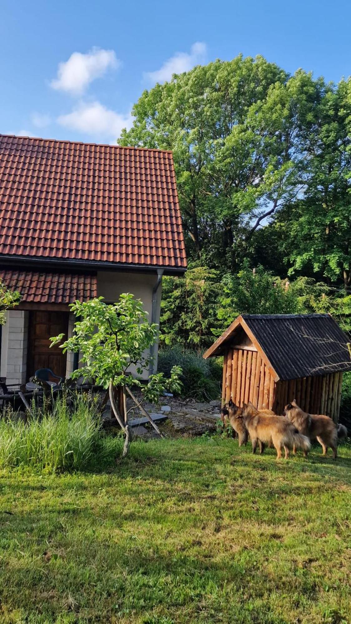 Villa Jaworowy Stok Z Widokiem Na Gory I Ogrodem *